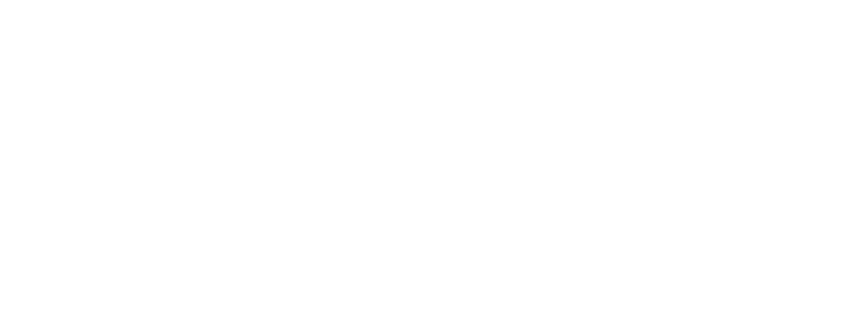 PJ Transformations Logo White